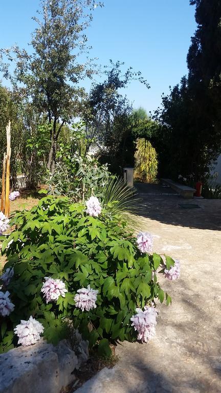 Villa Massa Piscina โปลีญาโนอามาเร ภายนอก รูปภาพ